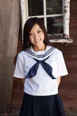 狂热郁金香